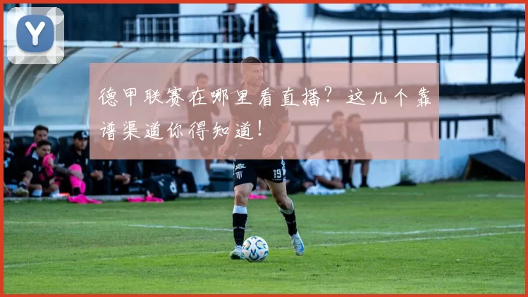 德甲联赛在哪里看直播?这几个靠谱渠道你得知道!