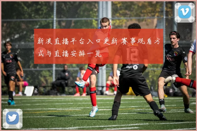 新浪直播平台入口更新 赛事观看方式与直播安排一览