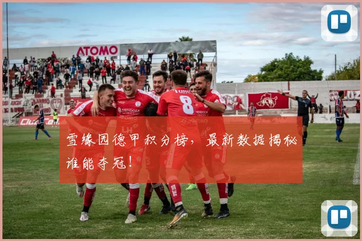雪缘园德甲积分榜,最新数据揭秘谁能夺冠!