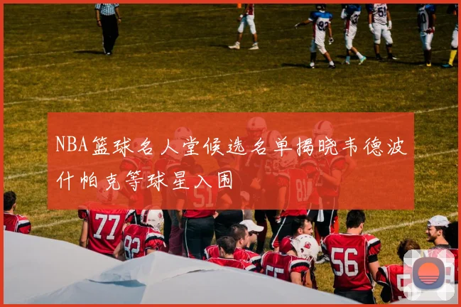 NBA篮球名人堂候选名单揭晓韦德波什帕克等球星入围