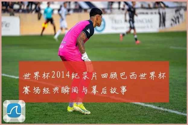 世界杯2014纪录片回顾巴西世界杯赛场经典瞬间与幕后故事